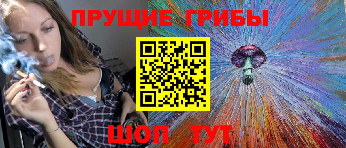 Псилоцибиновые грибы Cubensis Курск
