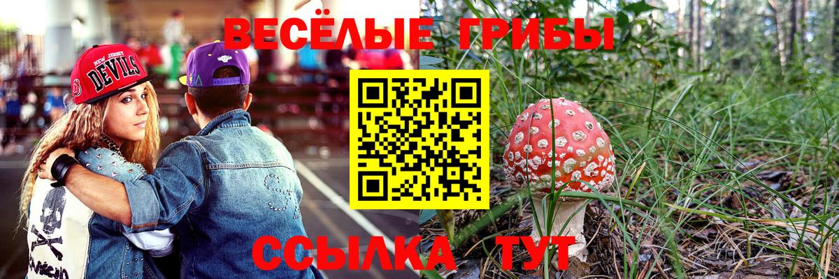 Курск  Псилоцибиновые грибы мицелий  Вход с VPN 